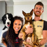 Raw dog food connoisseurs Courtney and Daniel said TikTok has become an integral part of their Chefs & Dogs business model.