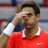 Del Potro fractures kneecap after bad fall