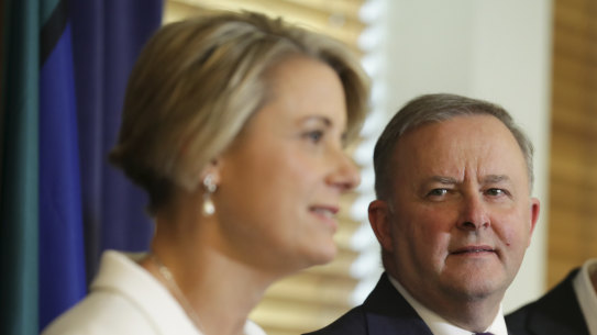 Labor’s Anthony Albanese and Kristina Keneally will line up to deliver a one-two punch this week.