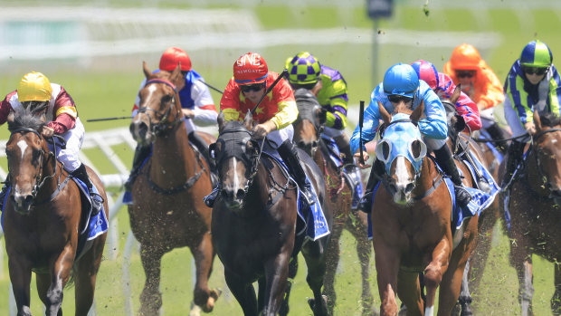 Race-by-race preview and tips for Canterbury on Monday