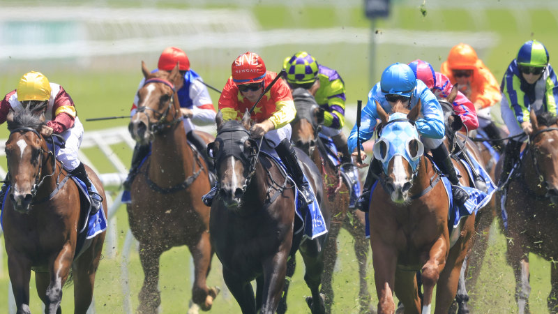 Race-by-race preview and tips for Canterbury on Wednesday