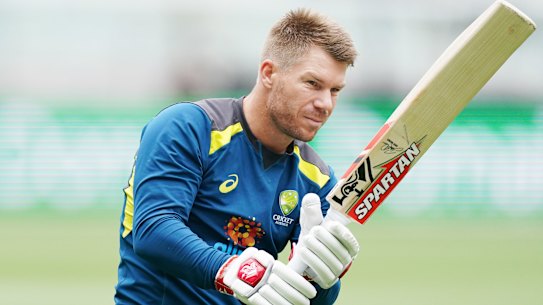 David Warner was one of three overseas players signed by the Southern Brave franchise.