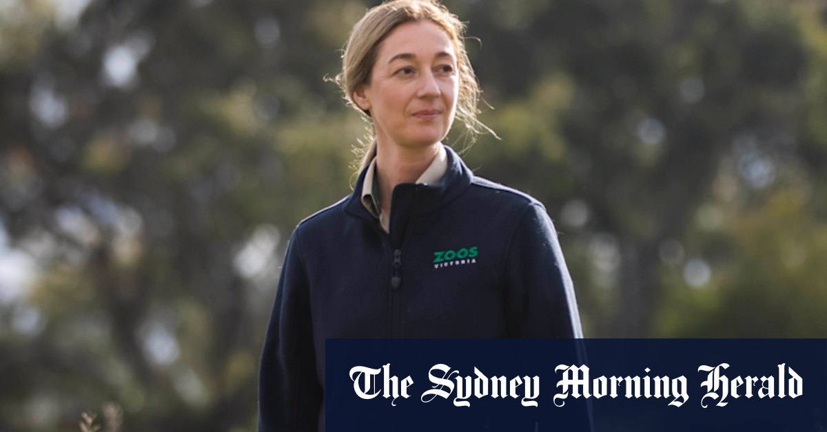 'They're making choices for themselves': A jumbo shift for Melbourne Zoo's elephants - Vimarsana News