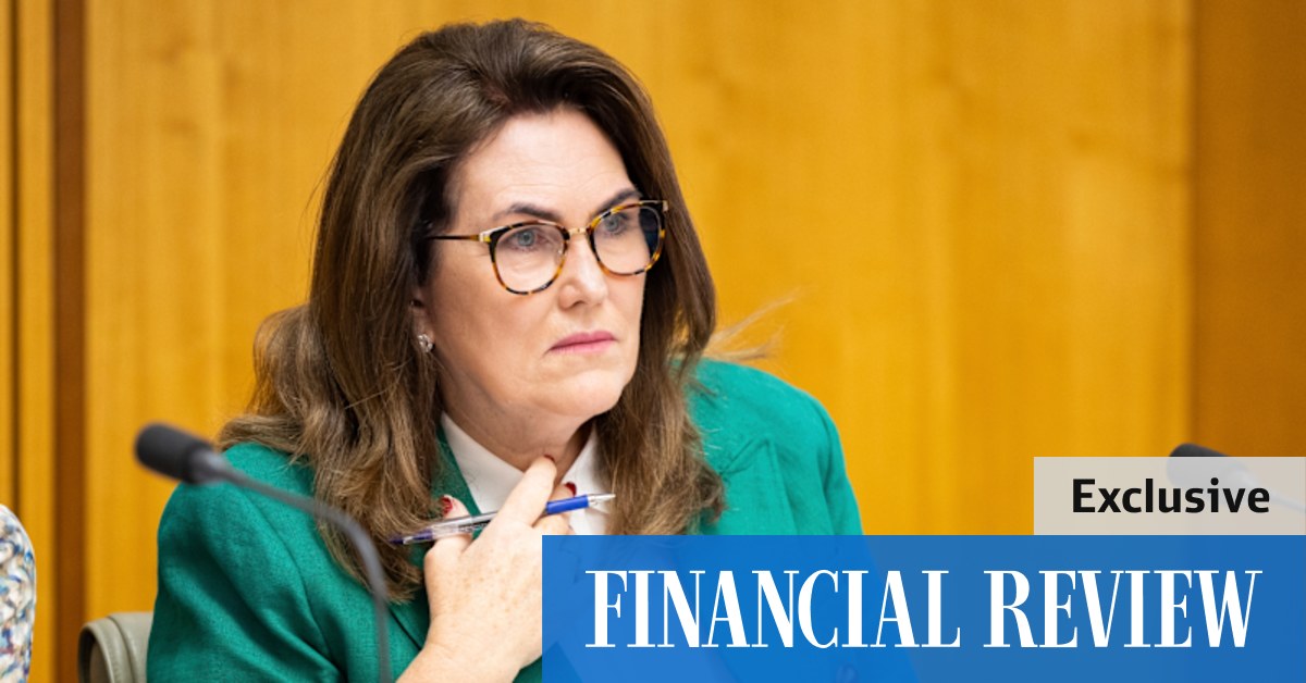 PwC hired ex-government staff to mine for information: Deborah O'Neill - Vimarsana News
