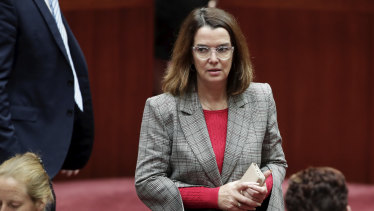 Social Services Minister Anne Ruston says "Australians expect people to use their own financial resources to support themselves before they call on taxpayer-funded welfare".