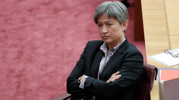 Labor's Senate leader Penny Wong during the motion to formally censure Fraser Anning.