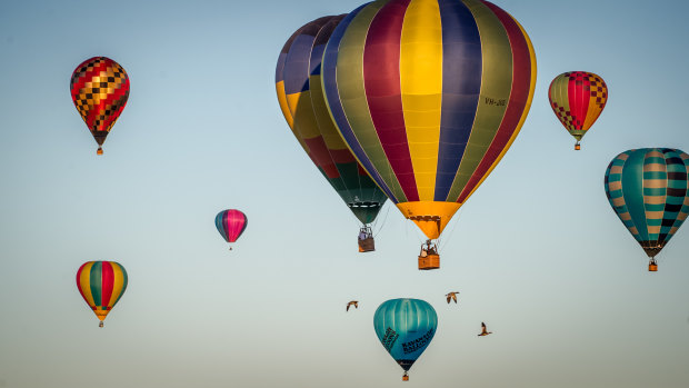 The Balloon Spectacular brings colour to the bush capital.