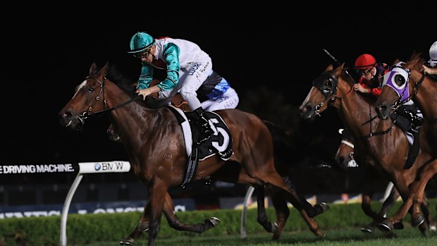 Night racing at Canterbury Park is a popular Friday night attraction.