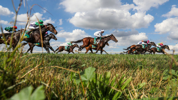 The Cotton Cup is the feature race at Warren today.