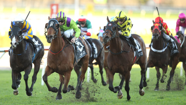 A seven-race card is scheduled for Tamworth on Tuesday.