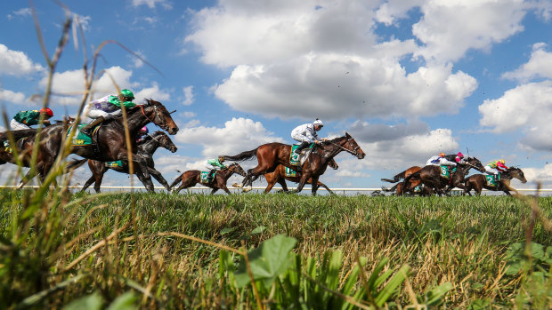 Racing returns to Narrandera on Sunday.