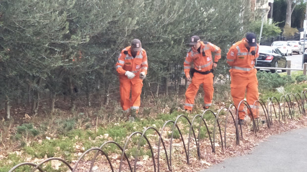 SES volunteers search for evidence at Fawkner Park in South Yarra.