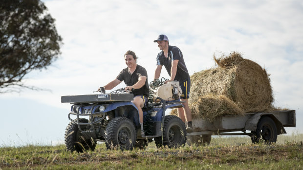 Lachlan and Ryan Lonergan at their Williamsdale farm.
