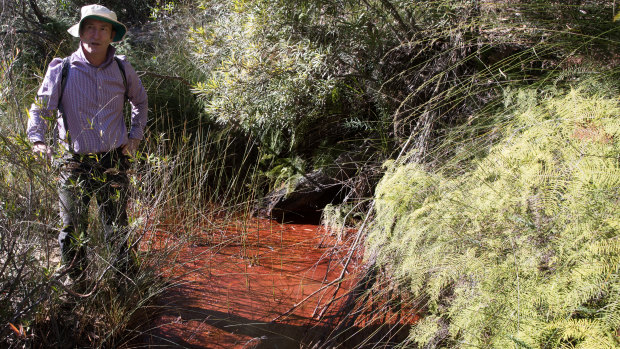 Professor Ian Wright of Western Sydney University stands beside a stagnant pool near where the Eastern Tributary disappears below the surface.