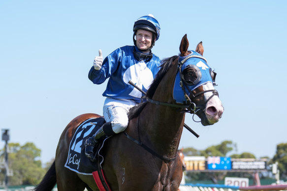 Lofty Strike, ridden by Craig Newitt, returns to the mounting yard. 