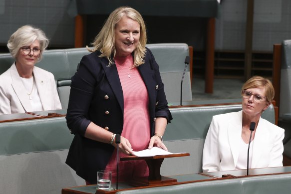 Independent MP Kylea Tink delivers her valedictory speech.