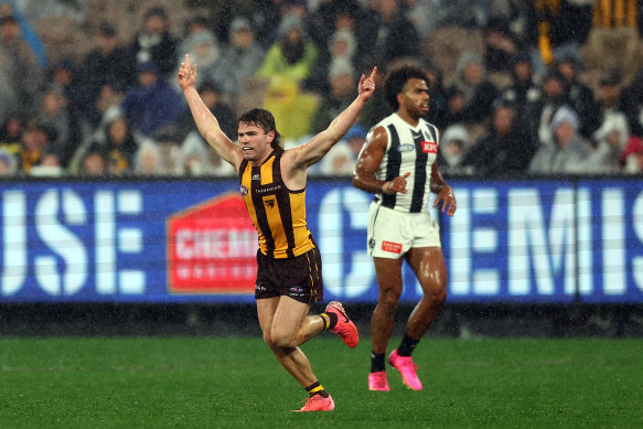 Nick Watson was on target for Hawthorn on Saturday.