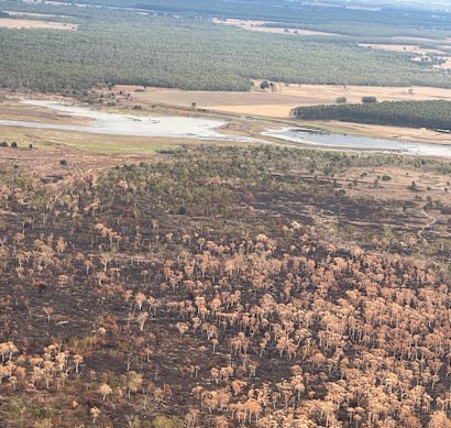 Burnt and unburnt sections of Budj Bim National Park.
