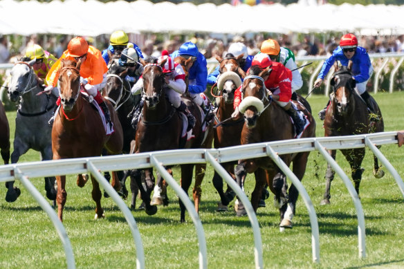 There will be restrictions on spectator numbers at Flemington this spring racing carnival.