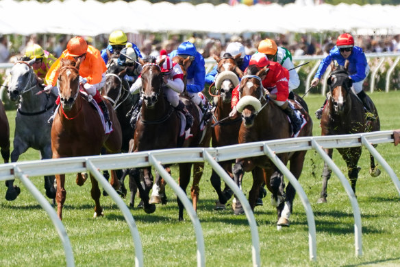 Kooled (far left) was last seen in the group 2 Sires’ Produce at Flemington where he finished ninth behind Lightsaber despite starting favourite.