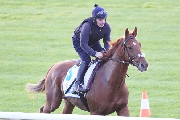 Vauban is the race favourite for Tuesday’s Melbourne Cup.