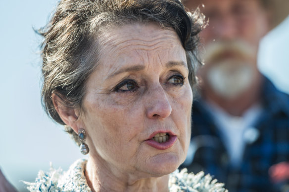 Former Liberal state minister Pru Goward has defended Gladys Berejiklian.