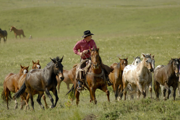 Live out your cowboy or cowgirl fantasies in Montana.