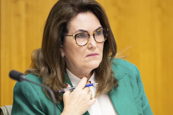 NSW senator Deb O’Neill during a Senate estimates hearing at Parliament House in Canberra on Tuesday.