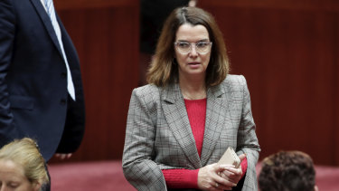 Social Services Minister Anne Ruston says "Australians expect people to use their own financial resources to support themselves before they call on taxpayer-funded welfare".