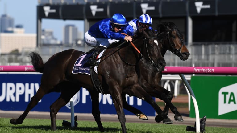 Godolphin will win a Cup eventually. Avilius is a good chance for them this year. 