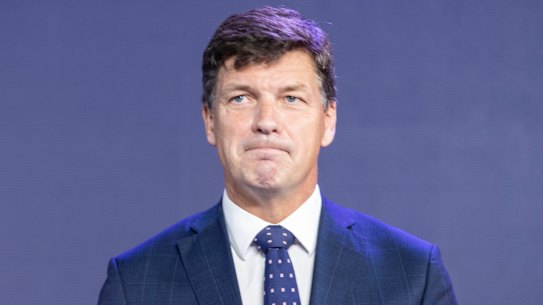 Energy Minister Angus Taylor has said the new gas plant is needed to replace the Liddell coal-fired power plant that is scheduled to close in 2023.