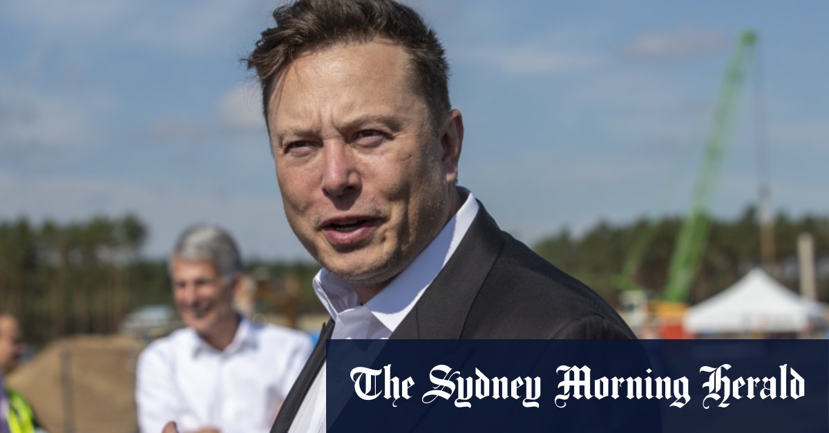 Bitcoin price plunges as Elon Musk doubles down on energy criticism