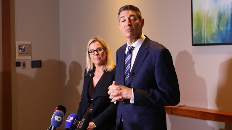 Zempilas ‘open’ to working with One Nation ahead of next WA election