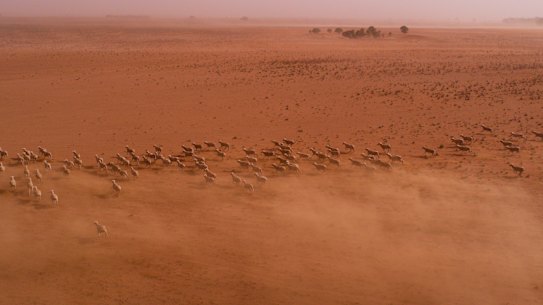 'Sand-blasted': Large dust storm may hit Sydney ahead of cold front