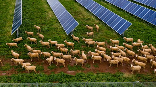Farm leaders are urging politicians to include agriculture in net zero plans so the sector can cash in on opportunities created by low emissions economies. 