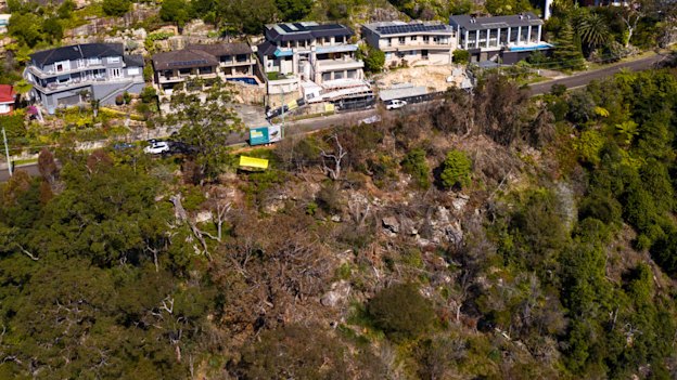 Vandals destroyed 265 trees covering an area the size of 14 tennis courts in Sydney’s Castle Cove in the middle of 2023.