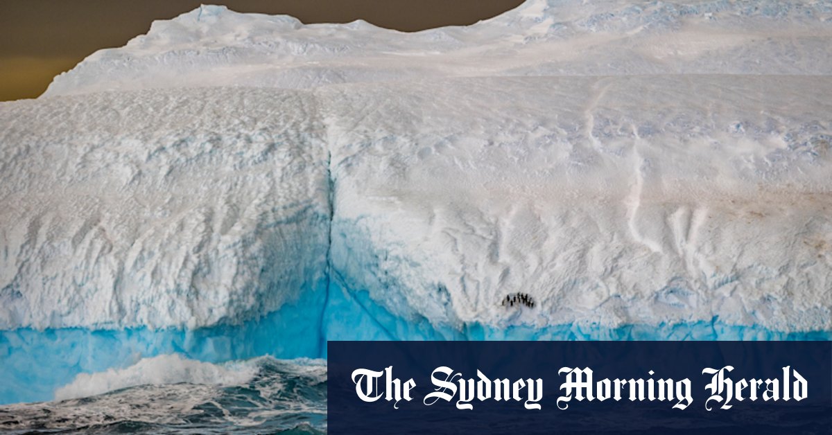 Acclaimed photographer’s visual love letter to the frozen continent