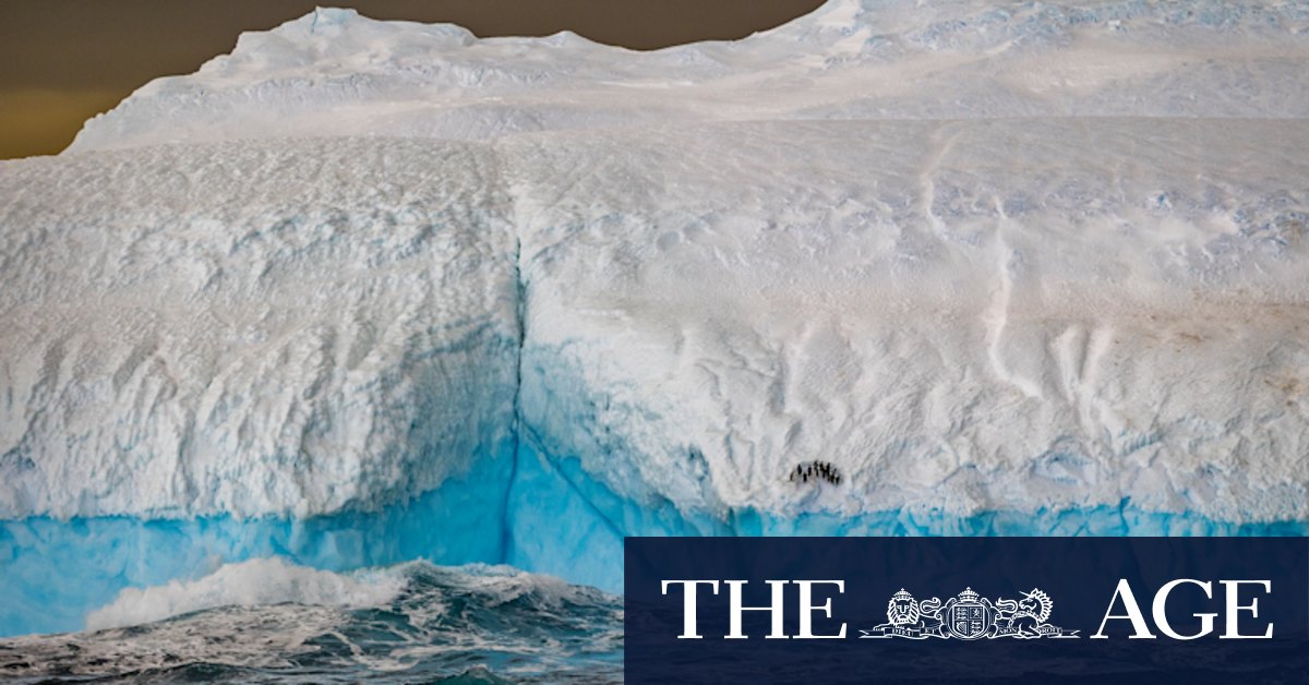 Acclaimed photographer’s visual love letter to the frozen continent