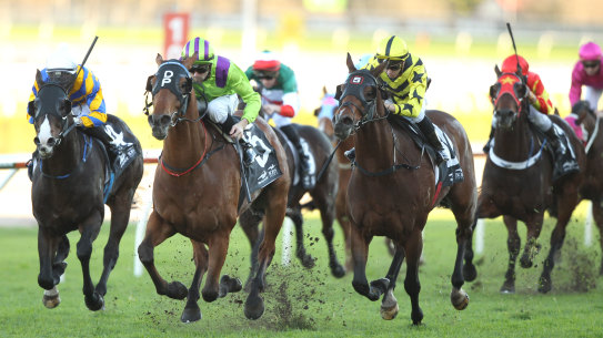 Racing returns to Tamworth on Thursday.