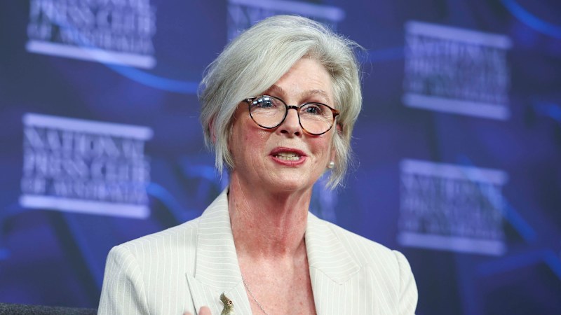 Haines' alleged attacker slid from saving trees to conspiracy theory