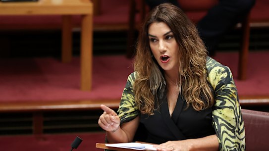 Greens senator Lidia Thorpe says she has been shocked by the attitude of some men in Parliament House towards women.