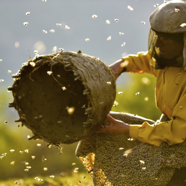 Hatidze Muratova in a scene from 'Honeyland'.