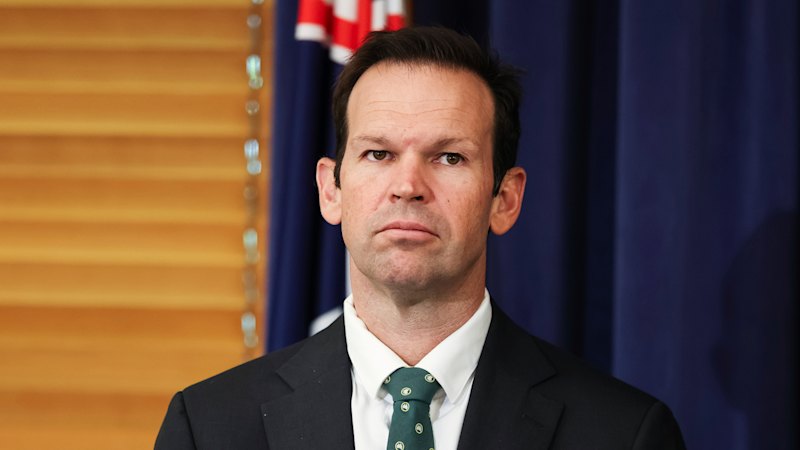 Subsidies, safety nets and stagnation: Australia’s new economic model