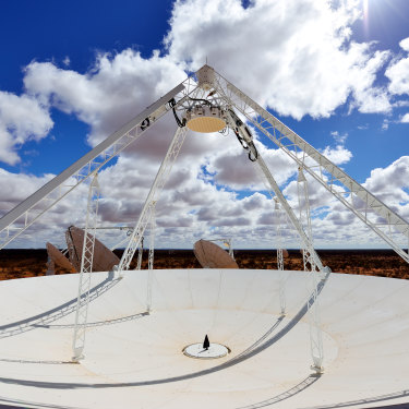 A radio telescope dish in Murchison. South Africa will host 2000 of them.