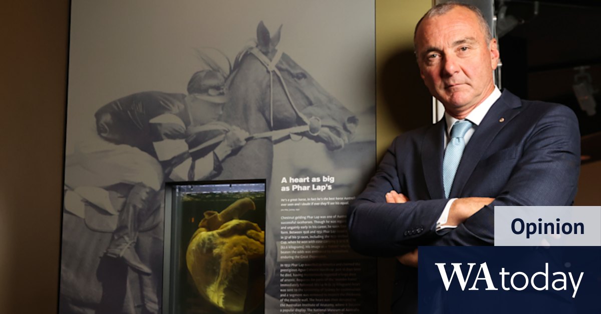 Mystery over Phar Lap's heart only strengthens the legend - Vimarsana News
