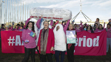Greens senators Janet Rice and Lee Rhiannon join protestors against the tampon tax, on the front lawn of Parliament House on Monday.