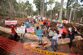 Local residents say salvage logging operations in Wombat State Forest are removing too much of the surrounding bushland. 