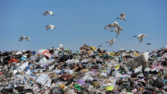 A mountain of waste. 