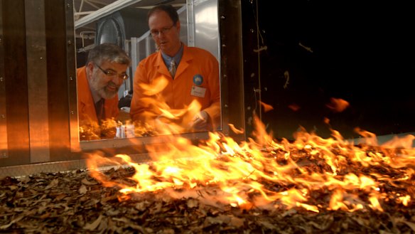 Re-writing our gum-tree fantasy to fire-proof the future