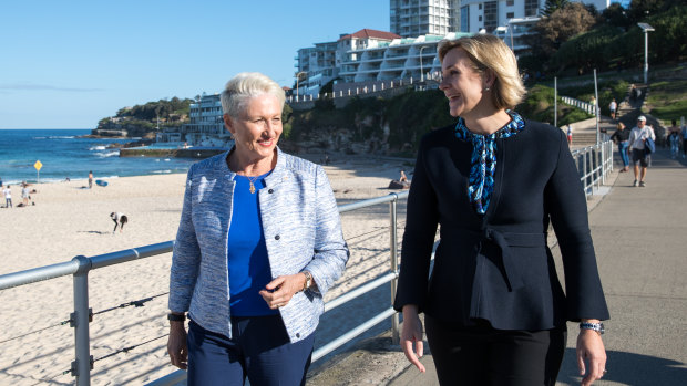 Kerryn Phelps and Zali Steggall, independent candidates for Wentworth and Warringah, have combined forces as they attempt to beat the odds in Liberal heartlands. 